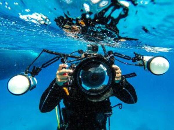 Certified Divers: 2-Tank Scuba Diving in Fujairah with Lunch