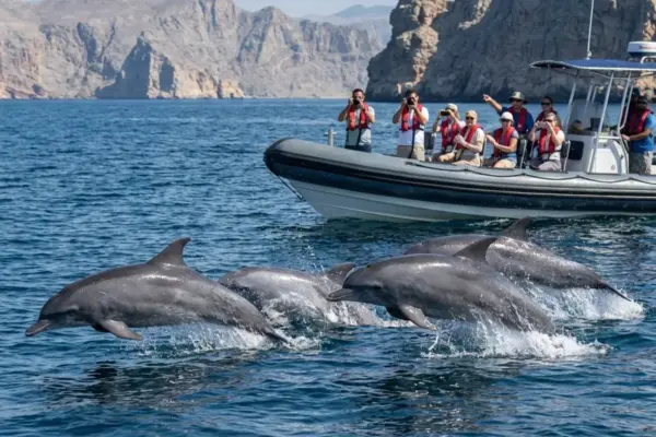 Musandam Fjords Cruise: Full-Day Dolphin Watching & Snorkeling from Dubai