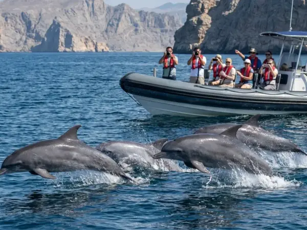 Musandam Fjords Cruise: Full-Day Dolphin Watching & Snorkeling from Dubai
