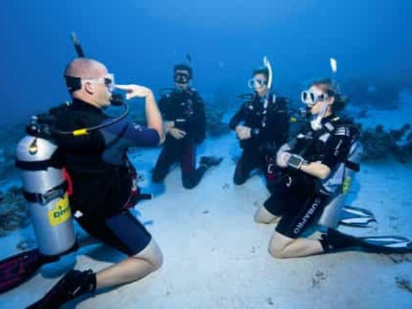 PADI Open Water Diver Course in Fujairah: 3-Day Certification with Transfers