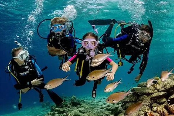 Try Scuba Diving in Fujairah: BBQ Lunch & Transfers from Dubai