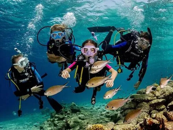 Try Scuba Diving in Fujairah: BBQ Lunch & Transfers from Dubai