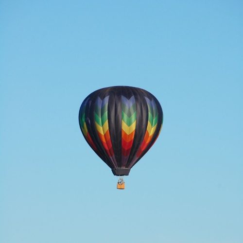 Blue and White Illustrated National Dolphin Day Instagram Post (2)